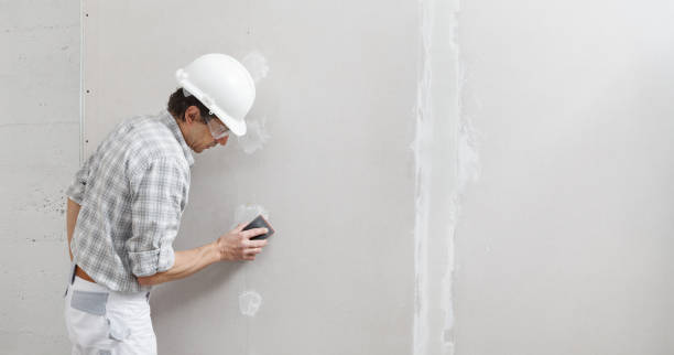 Professional Mold Removal in Ponderosa Pine, NM