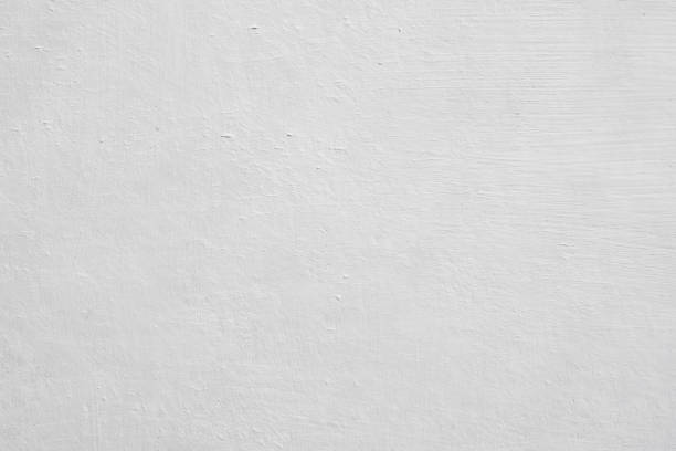 Mold Documentation for Insurance Claims in Ponderosa Pine, NM