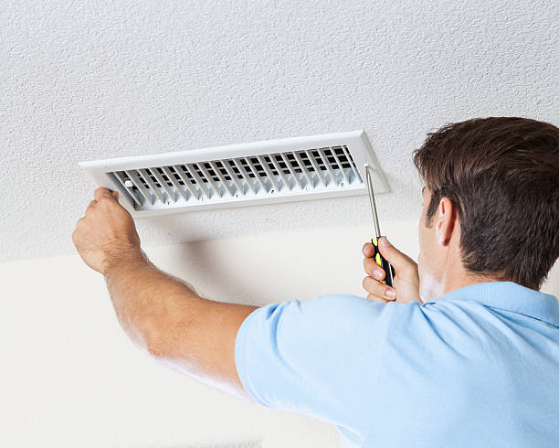 Mold Remediation for Rental Properties in Ponderosa Pine, NM